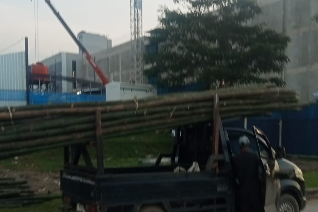 pengiriman bambu