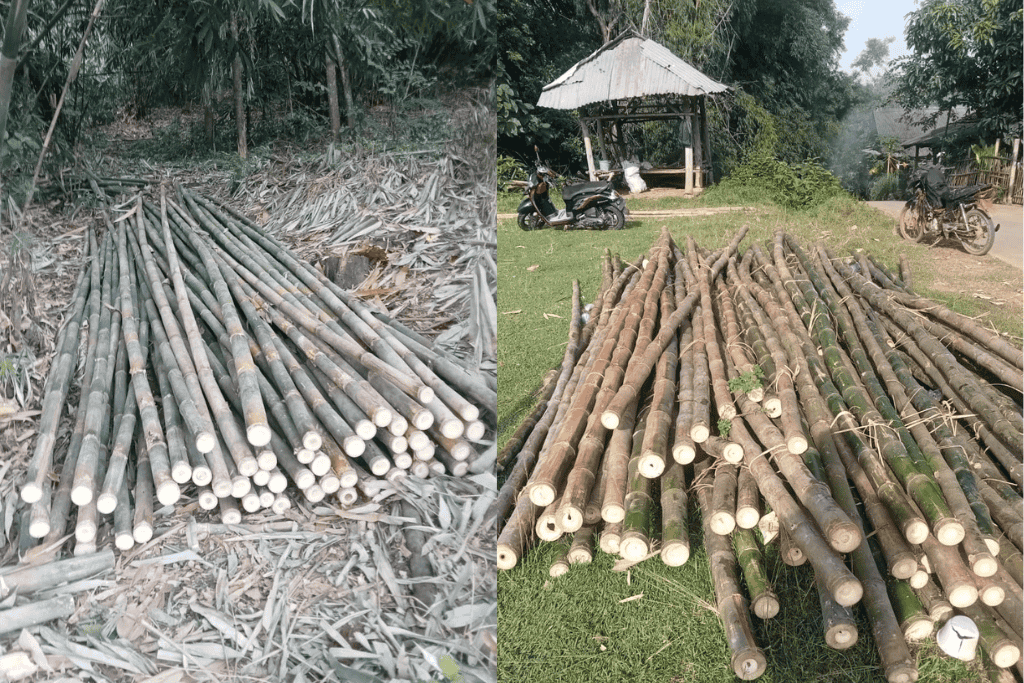 Bamboo Products